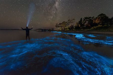 Florida Bioluminescent Kayak & Paddle Board Adventure 