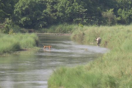 Bardia National Park Jungle Safari Tour Package - 3 Nights 4 Days