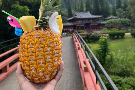 Full-Day Circle Island Guided Tour of Oahu