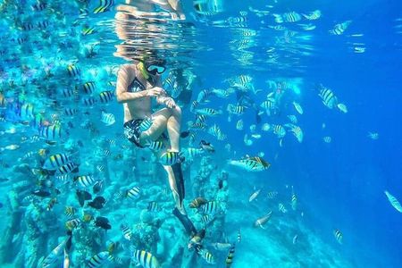 Half-Day Private Guided Snorkeling Turtles Underwater Statues 