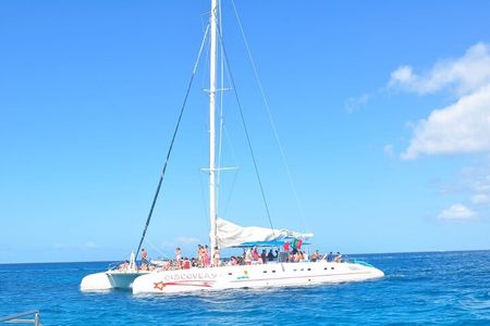 Saona Island Tour from Juan Dolio with pickup
