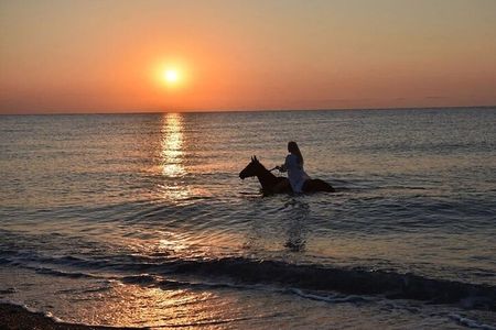 Antalya Horse Riding On Beach And Through The Forests For 2 Hours