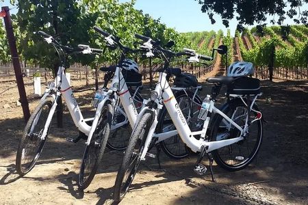 Experience E-Bike with Wine Tasting Activity