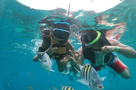 Chankanaab Beach Park Day pass with Snorkeling 