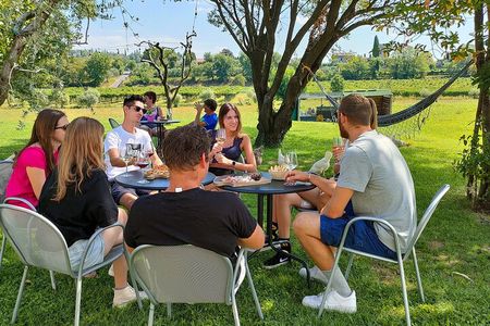 Wine Tasting with Local Food in Lazise Countryside