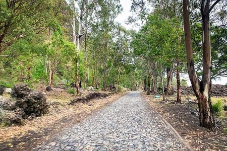 Full-Day Tour From São Filipe with Coffee Plantation and Natural Pools