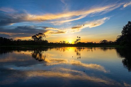 Tambopata Eco Jungle - 3 Day Tour (Nature and Wildlife)