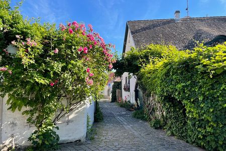 Szentendre Daytrip (Artists' Village) small group