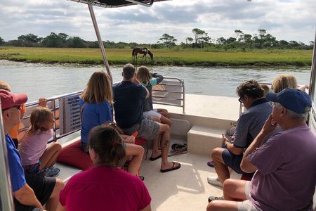 OC Bay Hopper - Assateague Island Cruise
