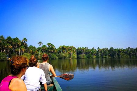 Tambopata Eco Jungle Adventure 4 Days - Immersion in Nature