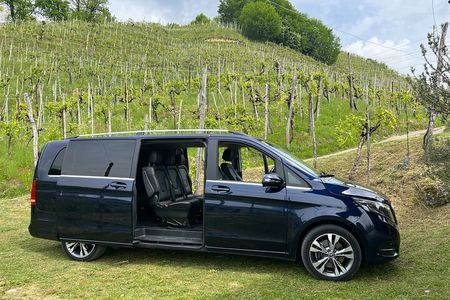 Small Group Tour with Prosecco Wine Tasting from Venice