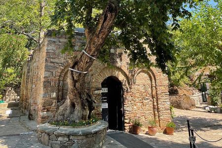 FOR CRUISERS: Best of Ephesus Private Tour (GUARANTEED ON-TIME RETURN)