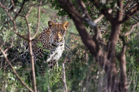 Around Gaborone Adventure