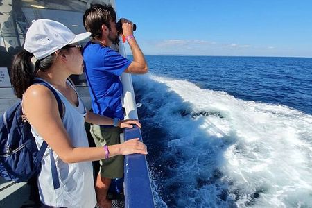 From Galway; Aran Islands Day Tour & Cliffs of Moher cruise