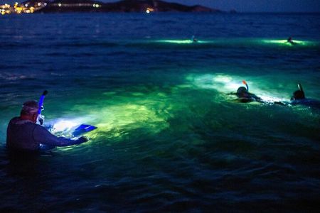 Guided Night Snorkeling in Roatan