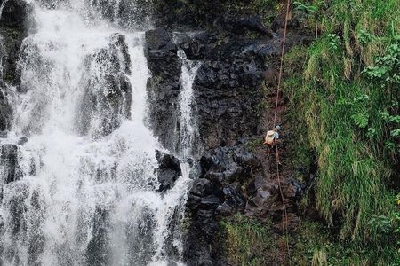 Waterfall Rappelling at Kulaniapia Falls: 120 Foot Drop, 15 Minutes from Hilo