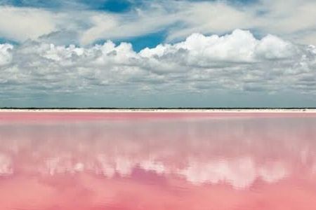 Las Coloradas & Río Lagartos with boat & Lunch from Mérida