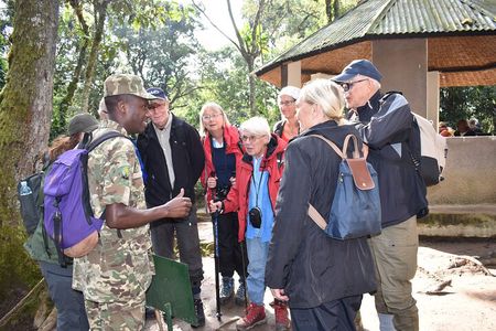 3 Days Bwindi Gorilla Trekking with a Domestic Flight