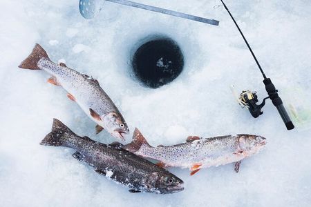Ice Fishing Tour from Fairbanks
