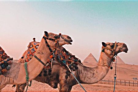Full-Day Private Tour Giza Pyramids, Saqqara and Dahshur