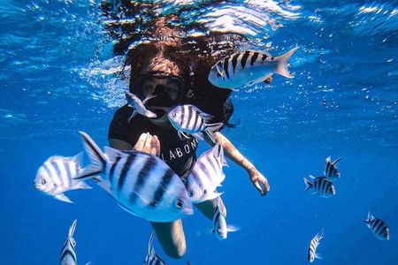 Want to escape? Treat yourself to a snorkeling session in Tahiti!
