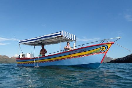 Boating along the coastline of San Carlos with a Marine Biologist