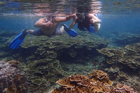 Anilao Snorkel Safari: Explore the Amazing Underwater World