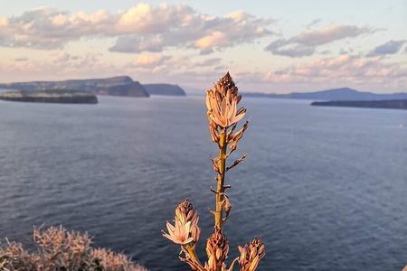 Private Sunset Inland Fishing Tour in Vlychada