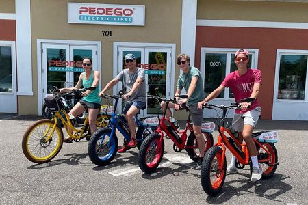 Full-Day Electric Bike Rental
