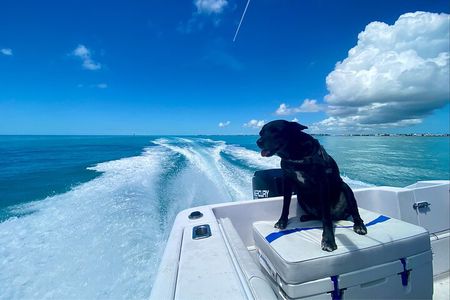 Explore the Waters of Key West