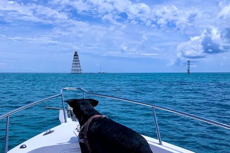 Explore the Waters of Key West from the Reef to the Sandbars