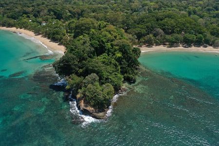 Full Day Cahuita Snorkel And Sloth Sanctuary from Puerto Viejo de Limón