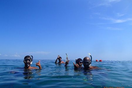 Full Day Cahuita Snorkel And Sloth Sanctuary from Puerto Viejo de Limón