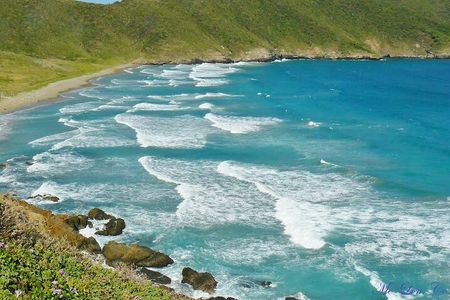 Tayrona Playa Cristal 7 Waves Neguanje Park Tour