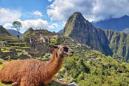 Machu Picchu Full Day Tour with a private guide