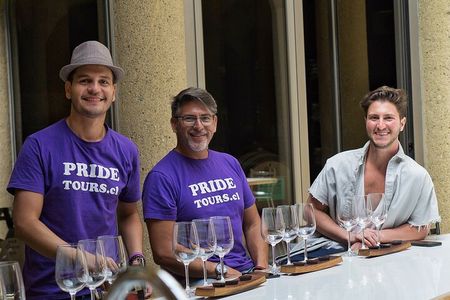 Maipo Valley: Historic Wineries & Classic Reds Tour