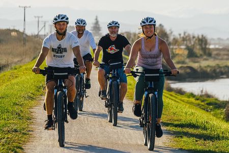 Napier Pub & Winery BIKE Ride with MIDDAY Shuttle - Self-Guided