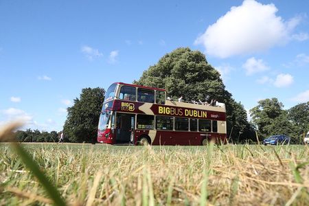 Dublin Shore Excursion, Live Guided Open-top, Hop-on Hop-off Sightseeing Tour