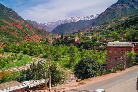 Private Day Trip To Ourika Valley And Anima Garden(André Heller)