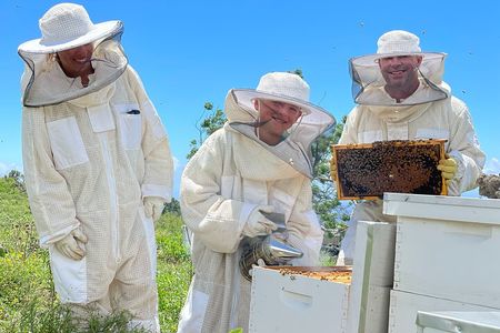 Honey Bee Adventure