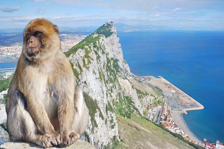Rock Tour in Gibraltar by Bus with Tickets