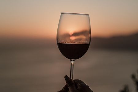 Full Day Private Tour of Baja California Capital of Wine