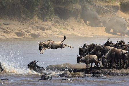 6 Days / 5 Nights Tanzania Big Five Safari & Materuni Waterfalls