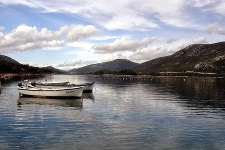 Oysters and mussels tasting with wine in Ston and Pelješac