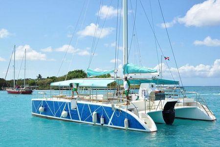 Saona Island: Full-day Sailing Tour - Small Group