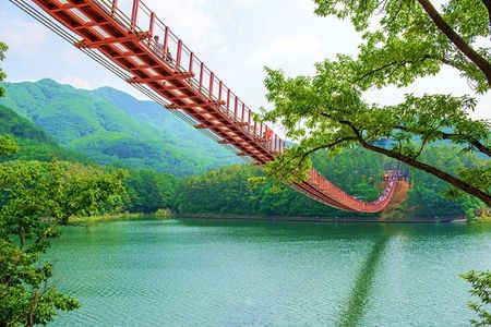 Private DMZ Peace Tour: 3rd Invasion Tunnel and Suspension Bridge