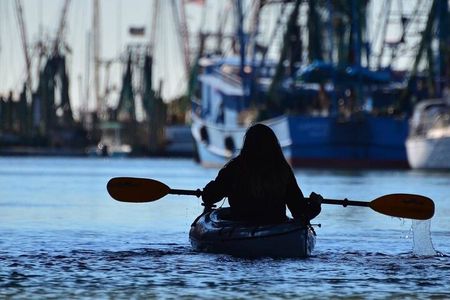 2 Hours Shem Creek Safari Kayak Tour