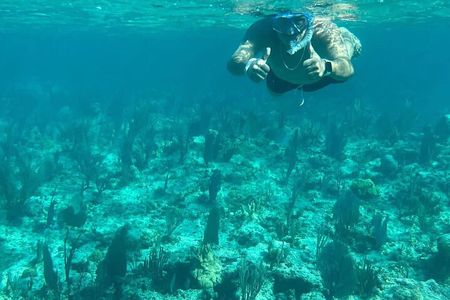 Rose Island, Snorkeling & Turtles Spotting Excursion 