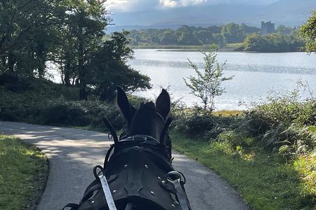 Horse-Drawn Carriage Tours in Killarney 