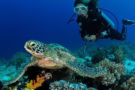 Scuba Diving to Dimaniyat Islands Muscat Oman